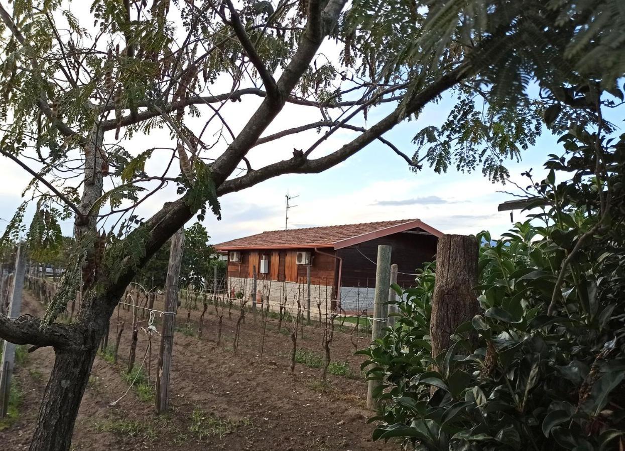 Agriturismo Borgo Baldassarre Βίλα Cellole Εξωτερικό φωτογραφία